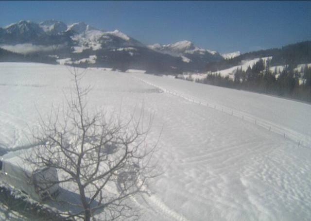 Archiv Foto Webcam Hochfilzen, Tirol