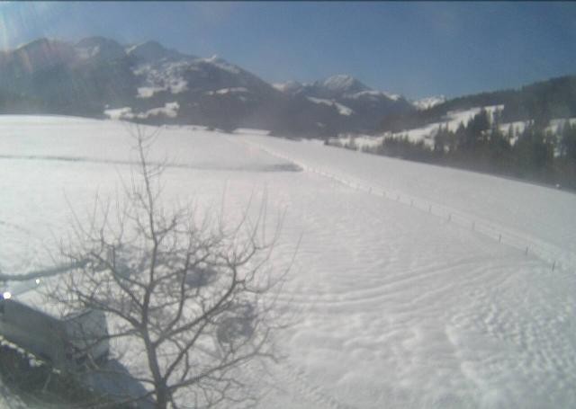Archiv Foto Webcam Hochfilzen, Tirol