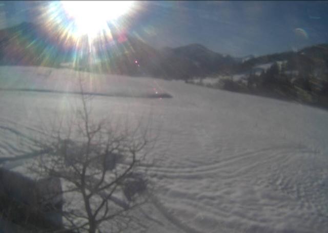 Archiv Foto Webcam Hochfilzen, Tirol
