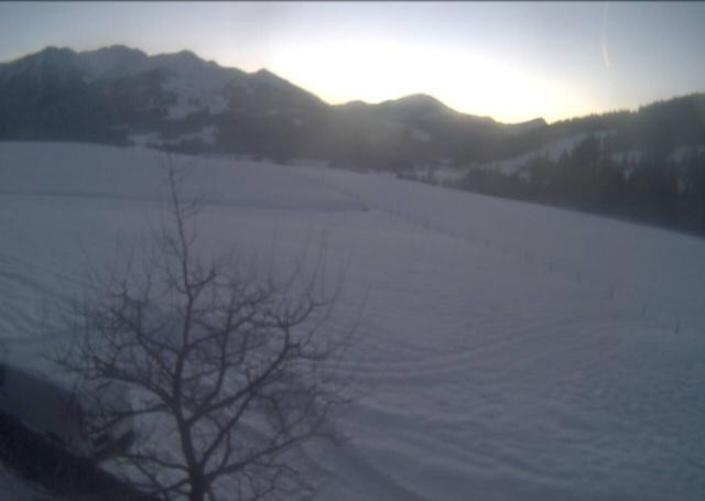 Archiv Foto Webcam Hochfilzen, Tirol