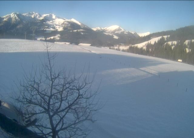 Archiv Foto Webcam Hochfilzen, Tirol