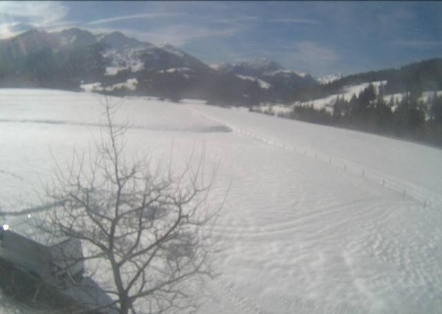 Archiv Foto Webcam Hochfilzen, Tirol