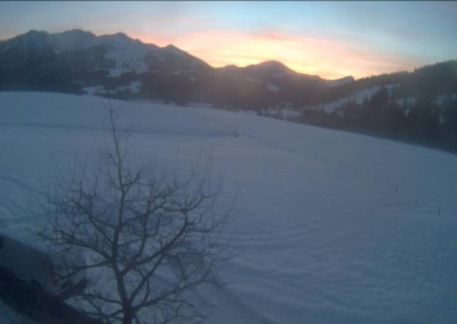 Archived image Webcam Hochfilzen, Tyrol