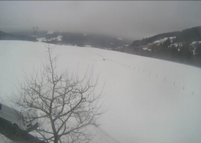 Archiv Foto Webcam Hochfilzen, Tirol