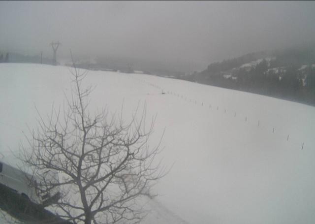 Archiv Foto Webcam Hochfilzen, Tirol