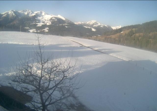 Archiv Foto Webcam Hochfilzen, Tirol
