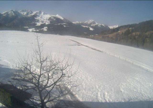 Archiv Foto Webcam Hochfilzen, Tirol