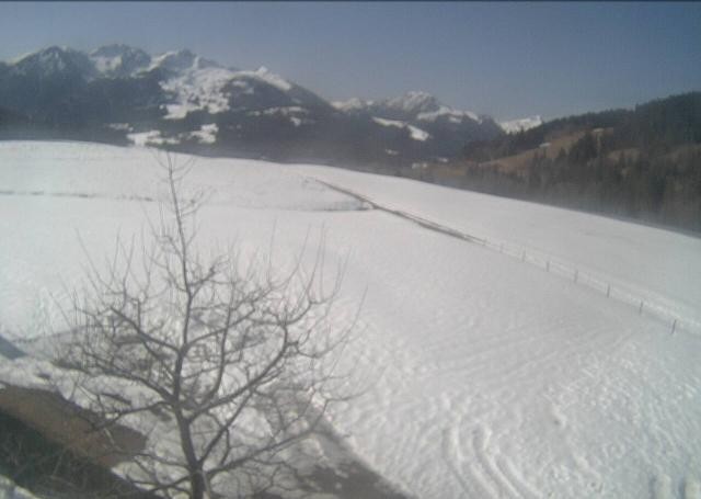 Archiv Foto Webcam Hochfilzen, Tirol