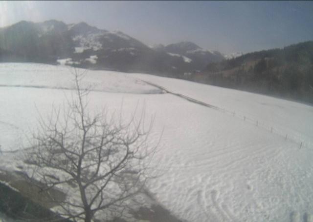 Archiv Foto Webcam Hochfilzen, Tirol