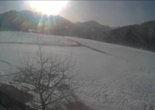 Archiv Foto Webcam Hochfilzen, Tirol