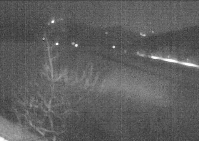 Archiv Foto Webcam Hochfilzen, Tirol