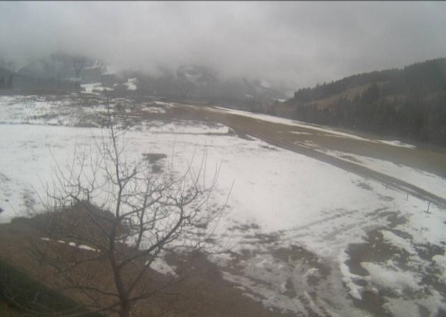 Archiv Foto Webcam Hochfilzen, Tirol