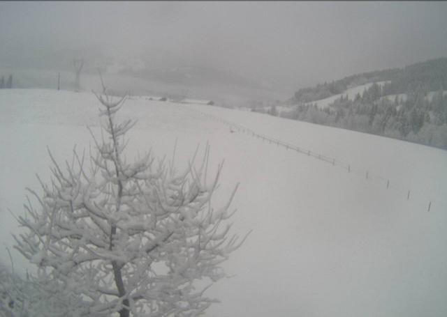 Archived image Webcam Hochfilzen, Tyrol