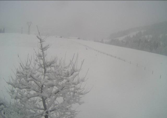 Archived image Webcam Hochfilzen, Tyrol
