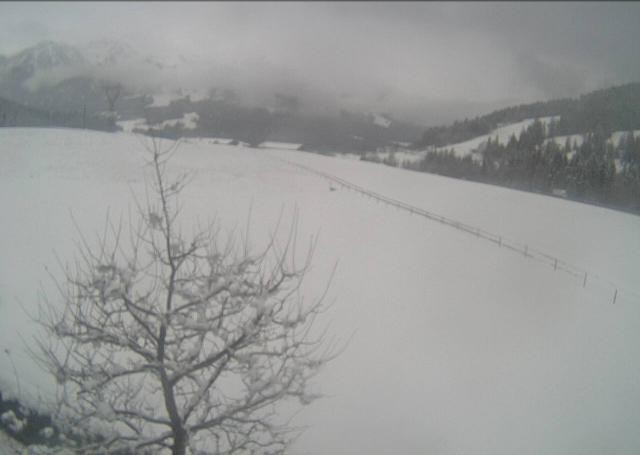 Archiv Foto Webcam Hochfilzen, Tirol