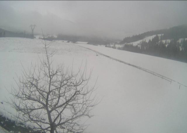 Archiv Foto Webcam Hochfilzen, Tirol