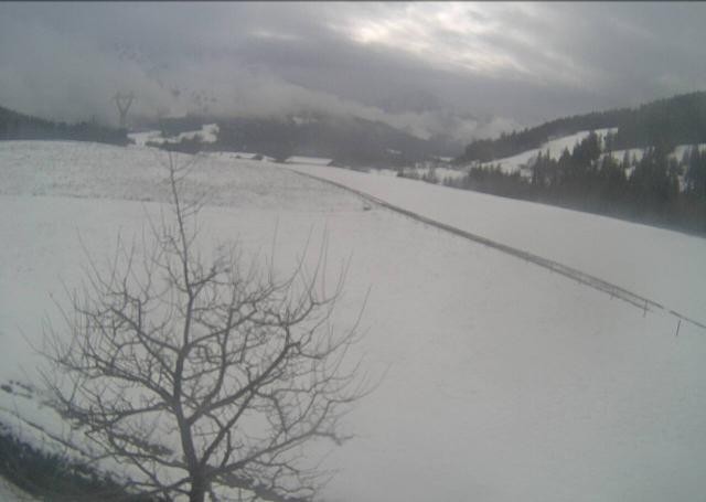 Archiv Foto Webcam Hochfilzen, Tirol