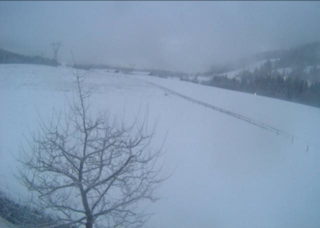 Archiv Foto Webcam Hochfilzen, Tirol