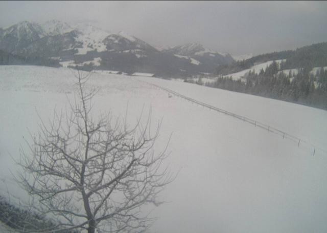 Archiv Foto Webcam Hochfilzen, Tirol