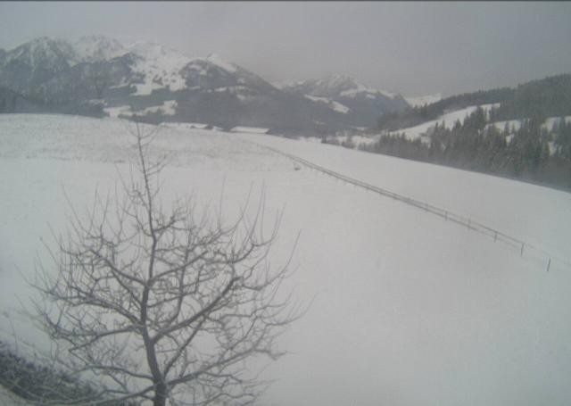Archiv Foto Webcam Hochfilzen, Tirol