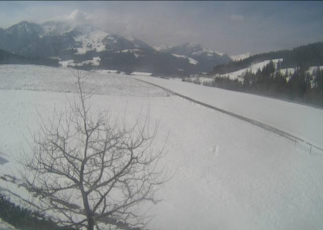 Archived image Webcam Hochfilzen, Tyrol