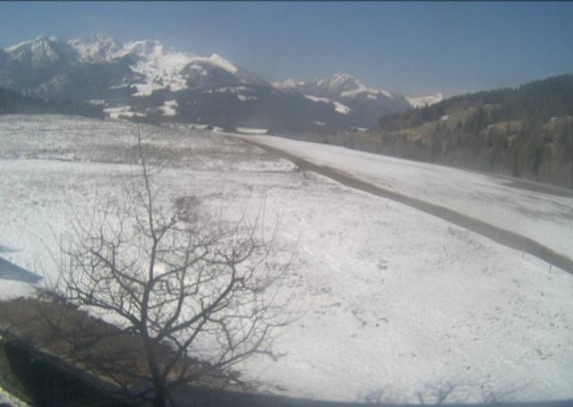 Archived image Webcam Hochfilzen, Tyrol