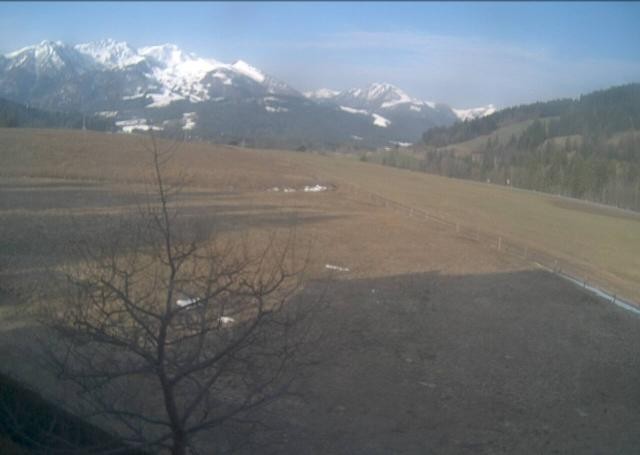 Archiv Foto Webcam Hochfilzen, Tirol
