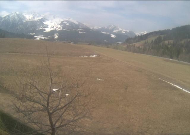 Archiv Foto Webcam Hochfilzen, Tirol