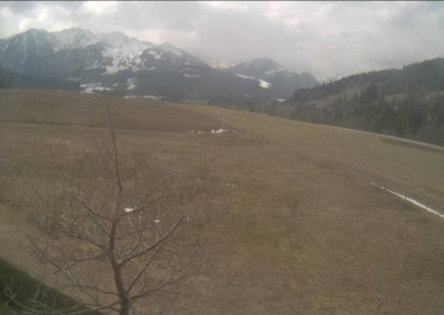 Archived image Webcam Hochfilzen, Tyrol