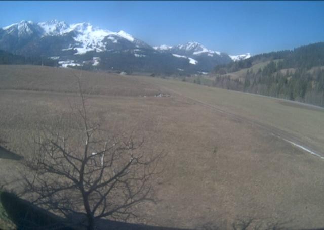Archiv Foto Webcam Hochfilzen, Tirol