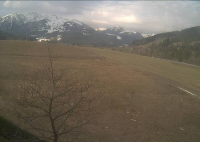 Archived image Webcam Hochfilzen, Tyrol