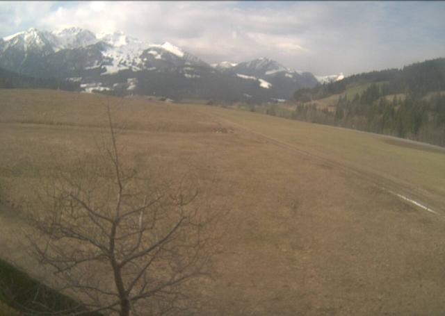 Archiv Foto Webcam Hochfilzen, Tirol