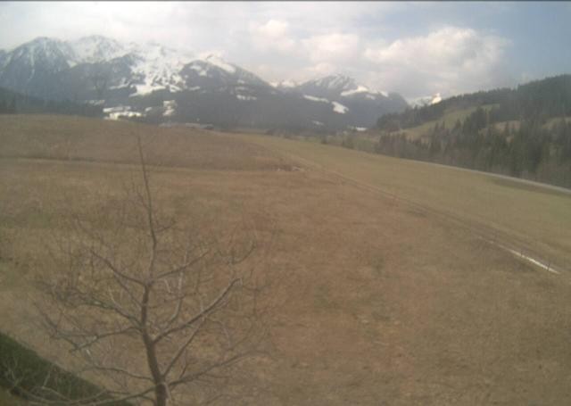 Archiv Foto Webcam Hochfilzen, Tirol