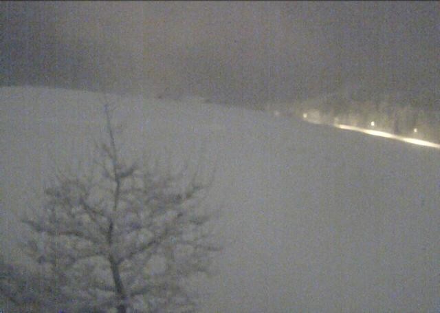 Archiv Foto Webcam Hochfilzen, Tirol