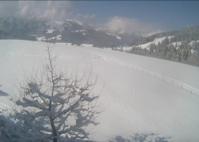 Archiv Foto Webcam Hochfilzen, Tirol