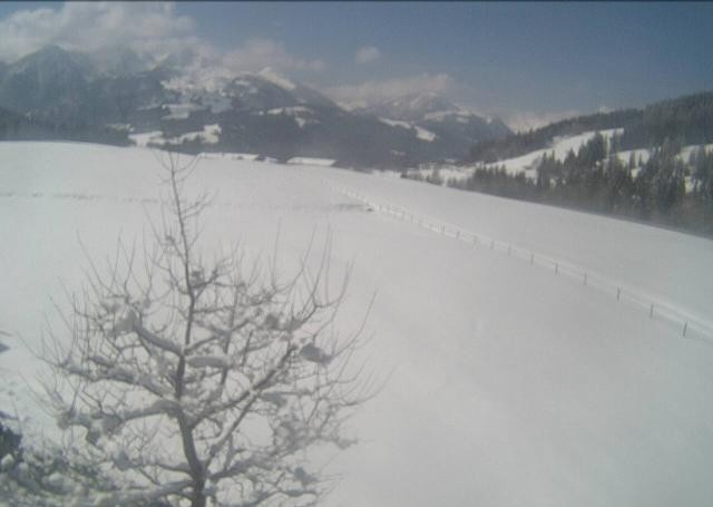 Archiv Foto Webcam Hochfilzen, Tirol