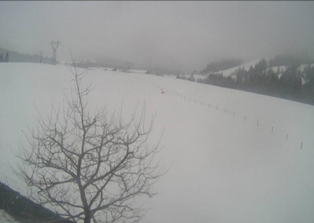Archived image Webcam Hochfilzen, Tyrol
