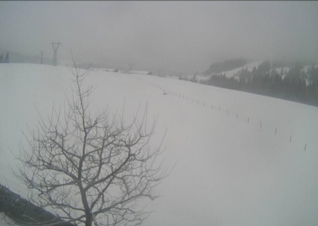 Archived image Webcam Hochfilzen, Tyrol
