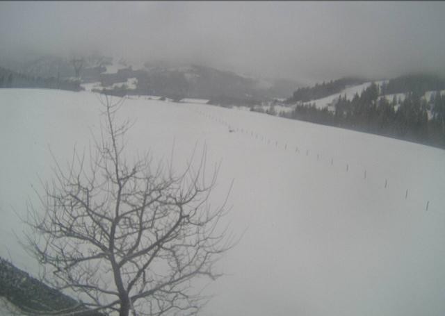 Archived image Webcam Hochfilzen, Tyrol