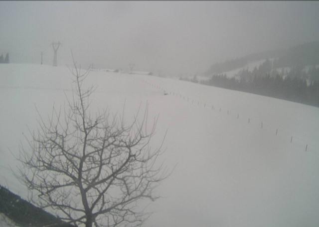 Archived image Webcam Hochfilzen, Tyrol