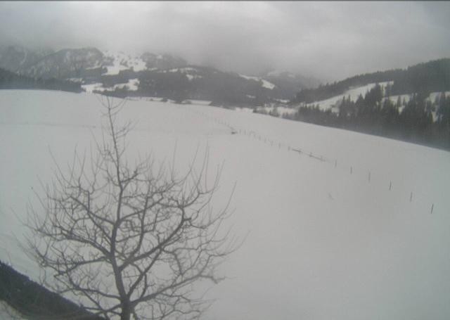 Archived image Webcam Hochfilzen, Tyrol