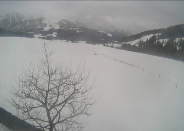 Archived image Webcam Hochfilzen, Tyrol