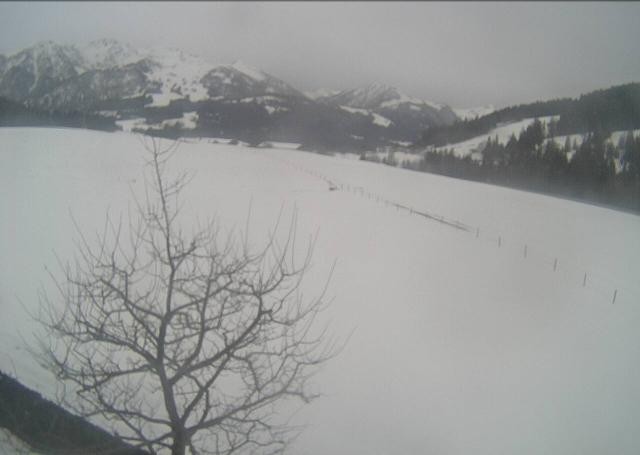 Archived image Webcam Hochfilzen, Tyrol