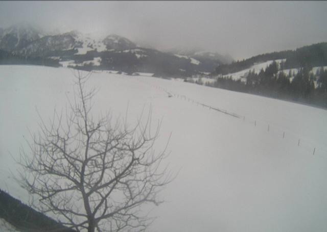 Archived image Webcam Hochfilzen, Tyrol