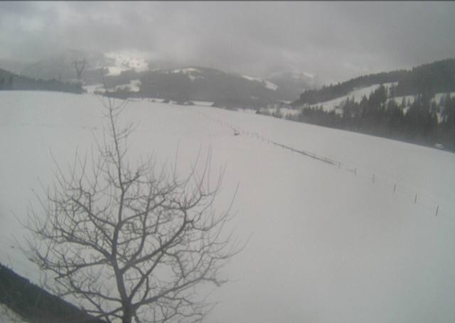 Archived image Webcam Hochfilzen, Tyrol