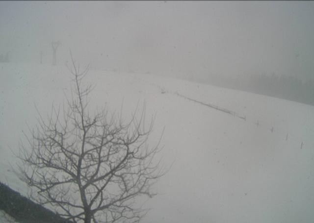 Archived image Webcam Hochfilzen, Tyrol