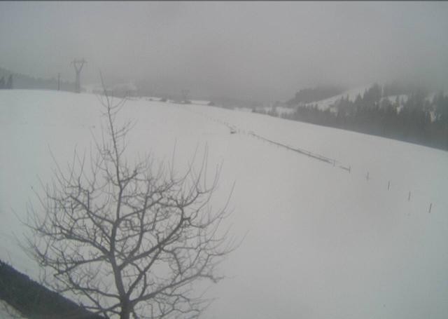 Archived image Webcam Hochfilzen, Tyrol