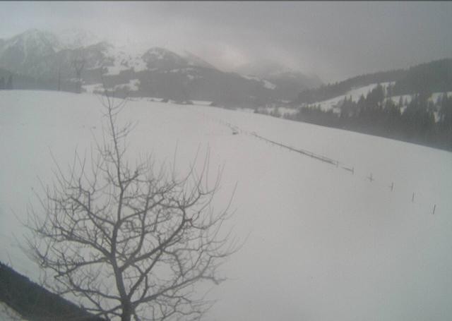 Archived image Webcam Hochfilzen, Tyrol