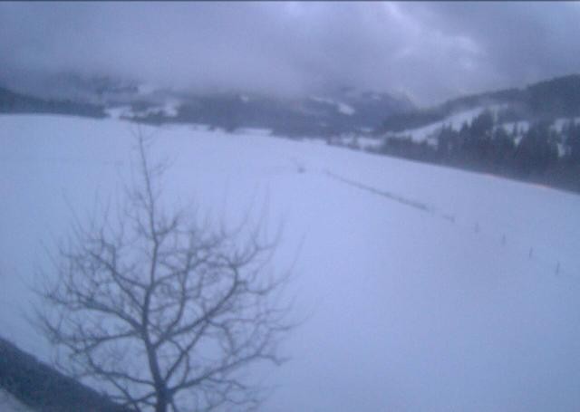 Archived image Webcam Hochfilzen, Tyrol