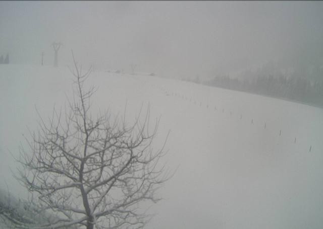 Archiv Foto Webcam Hochfilzen, Tirol